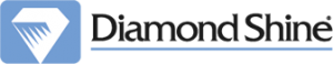 dslogo